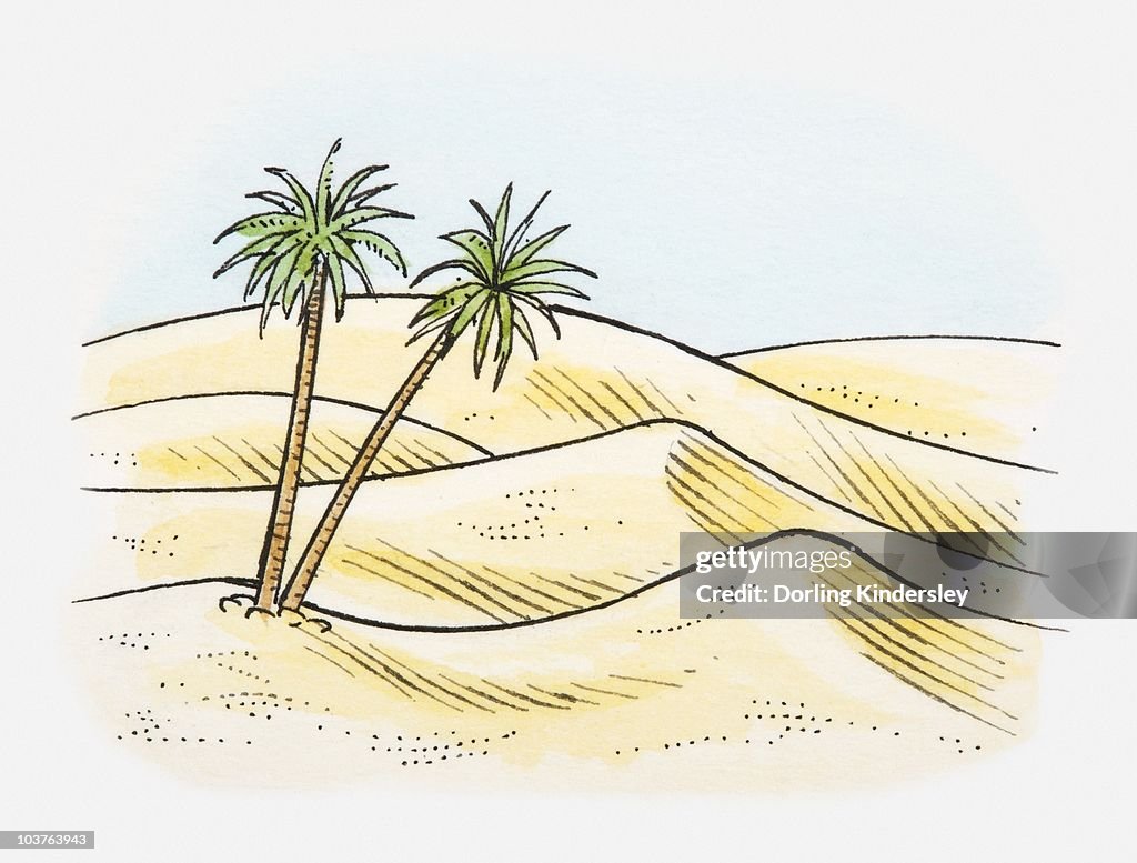 Illustration of desert landscape with palm trees
