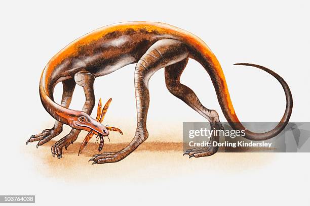 illustrations, cliparts, dessins animés et icônes de illustration of a lagosuchus with prey in its mouth, triassic period - carrying in mouth