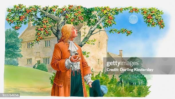 illustration of sir isaac newton holding apple in hand and looking up at tree - traditional clothing 幅插畫檔、美工圖案、卡通及圖標