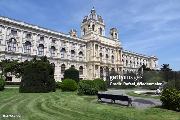 natural history museum vienna - venus willendorf stock pictures, royalty-free photos & images