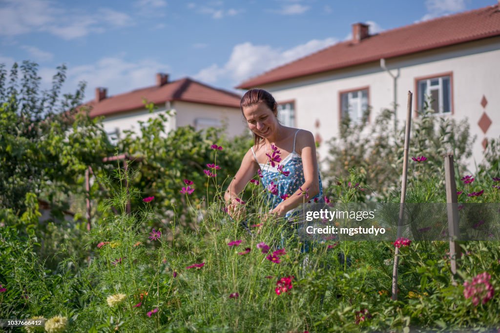 Mitte Erwachsene weibliche Gärtner Pflege Blume