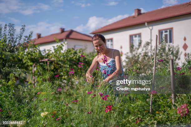 mitte erwachsene weibliche gärtner pflege blume - schmuckkörbchen stock-fotos und bilder