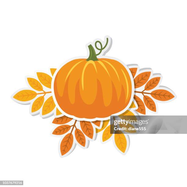 cute autumn design element - ash tree stock illustrations