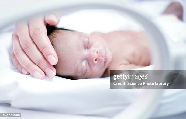 premature baby - premature baby incubator fotografías e imágenes de stock