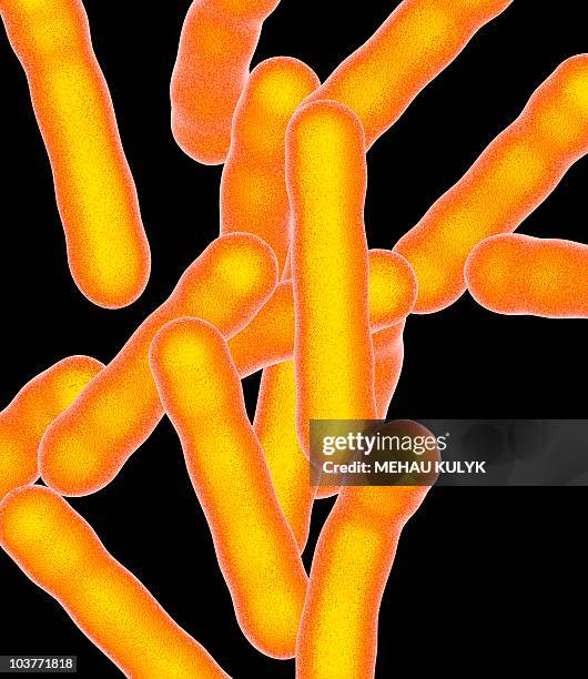 tuberculosis bacteria, artwork - tuberculosis bacteria stock illustrations