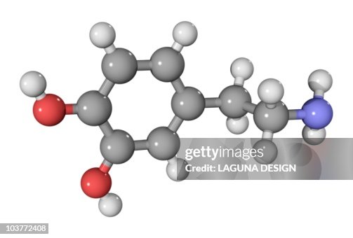 Dopamine neurotransmitter molecule Dopamine neurotransmitter molecule