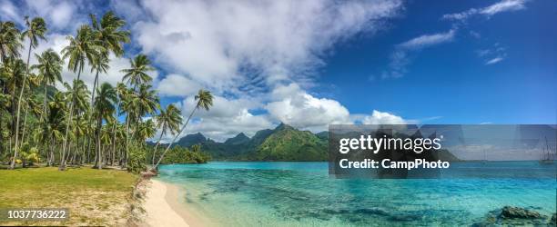 taahiamanu beach panorama view - windward islands polynesia stock pictures, royalty-free photos & images