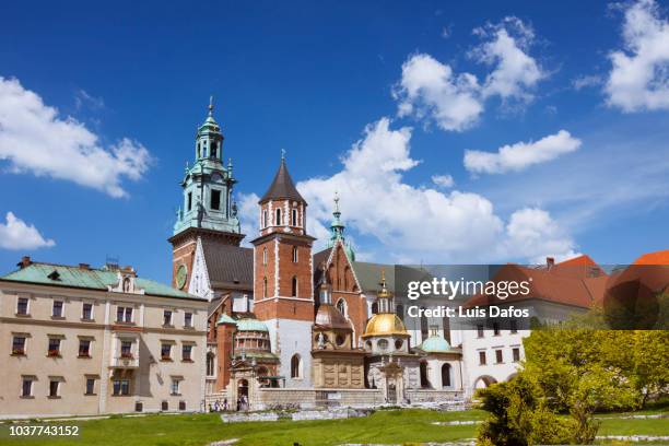 wawel cathedral - krakow fotografías e imágenes de stock