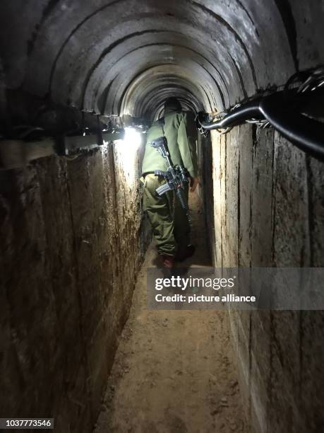 260 Subterranean Tunnel Stock Photos, High-Res Pictures, and Images ...