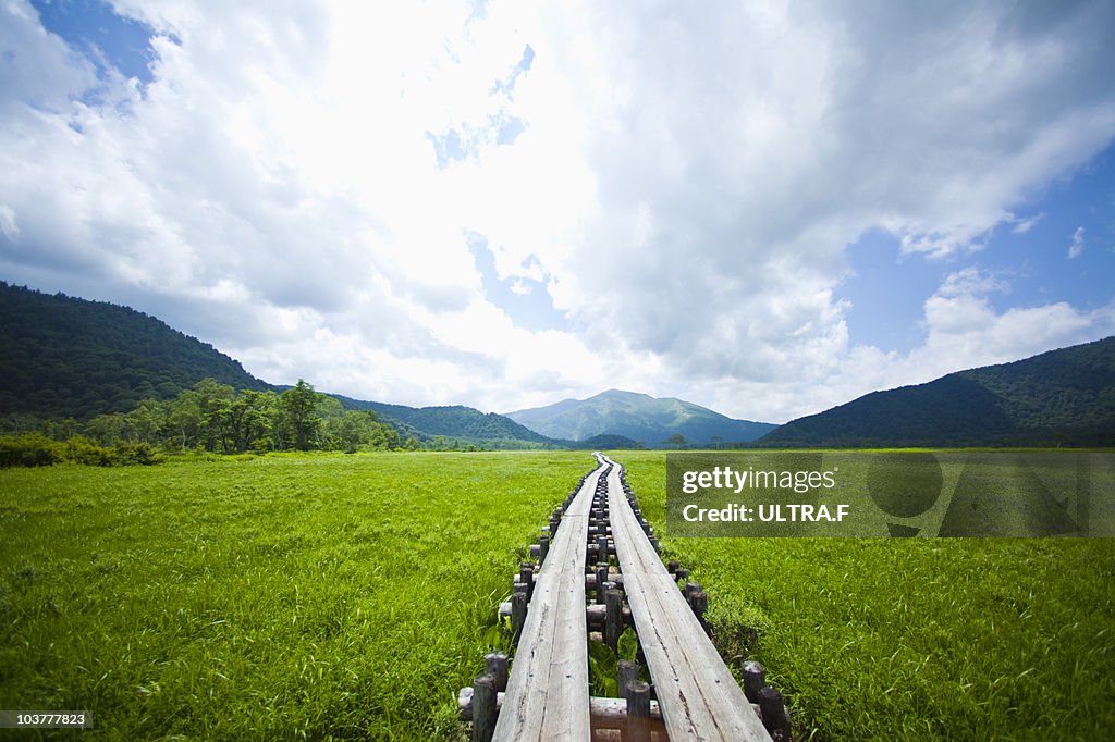 Straight road where Ozegahara