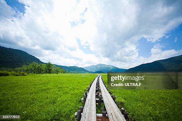 straight road where ozegahara - oze national park stock pictures, royalty-free photos & images