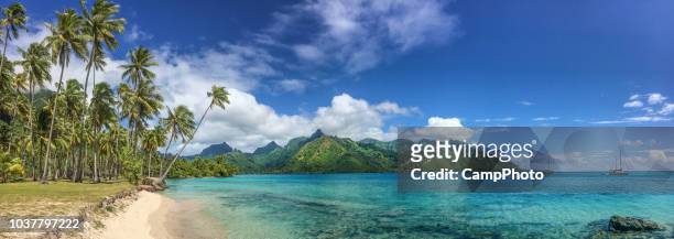 taahiamanu beach park - moorea stock pictures, royalty-free photos & images
