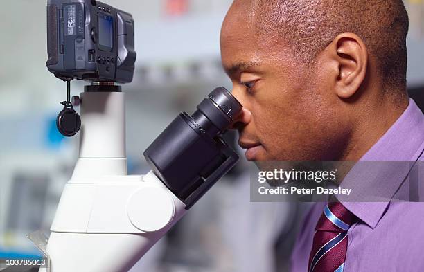 Microscope Man Black Man Microscope Photos and Premium High Res Pictures - Getty Images