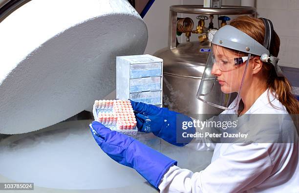 scientist removing human cell from liquid nitrogen - flüssiger stickstoff stock-fotos und bilder