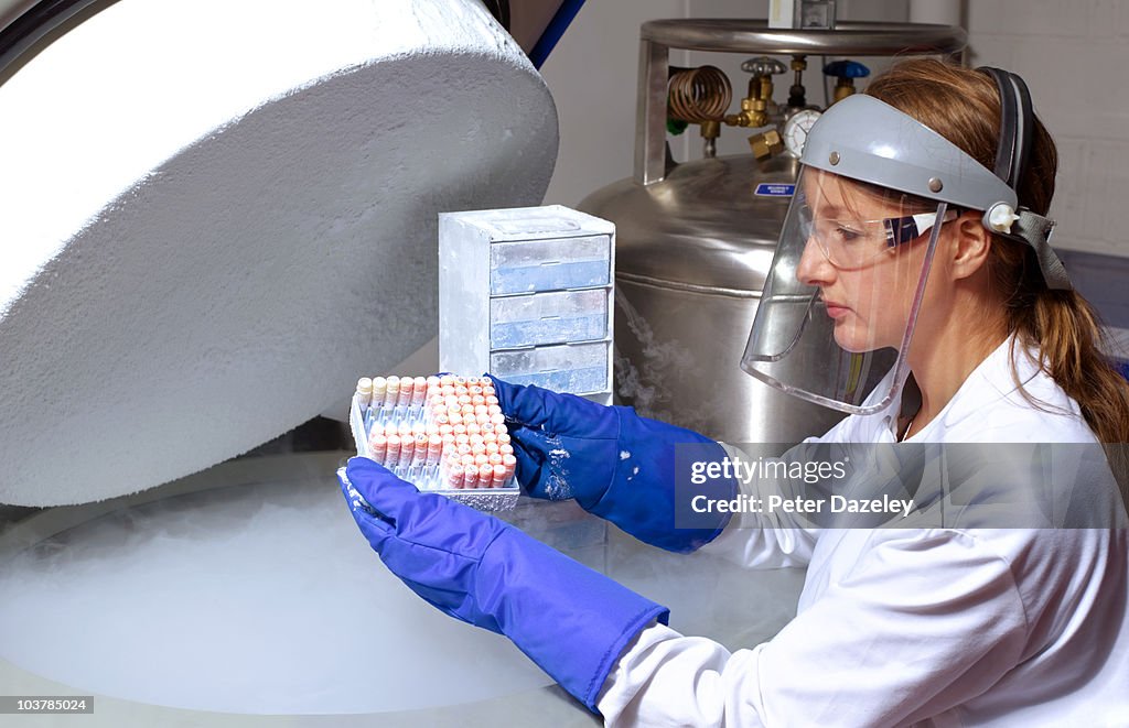 Scientist removing human cell from liquid nitrogen