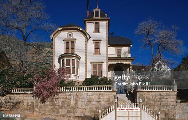 the castle. - tonopah nevada stock pictures, royalty-free photos & images