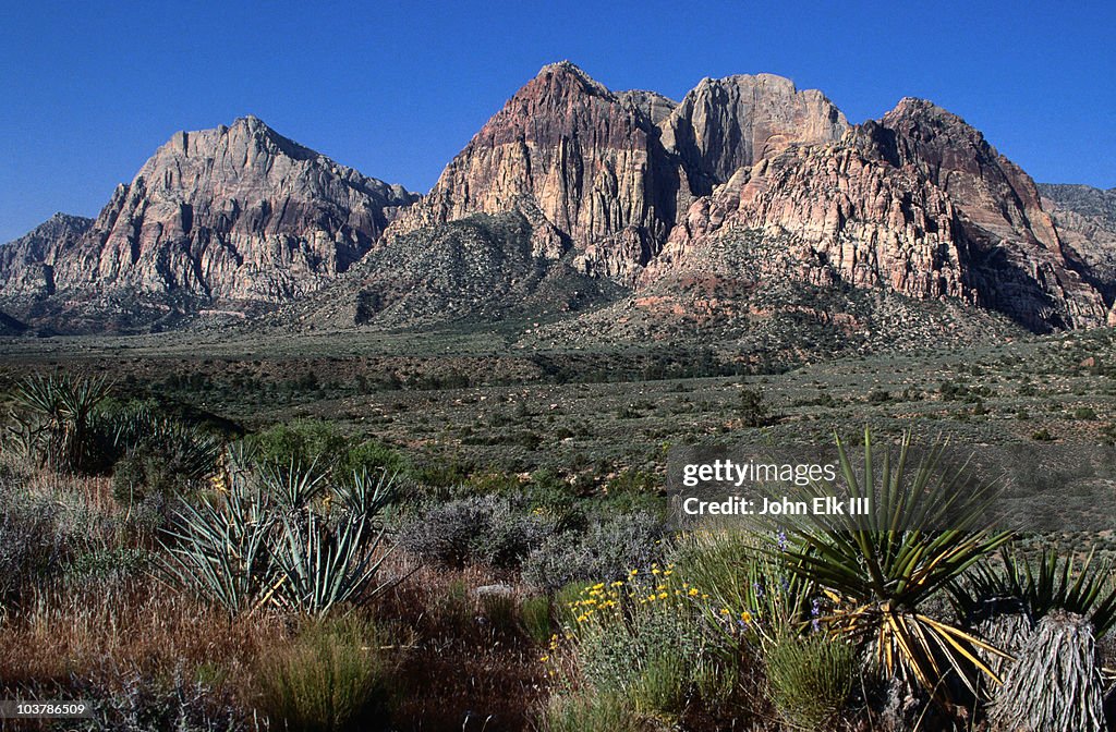 Spring Mountains.