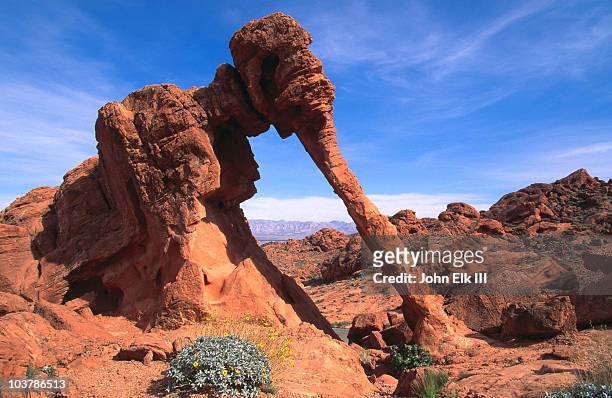 elephant rock. - valley of fire state park stock pictures, royalty-free photos & images