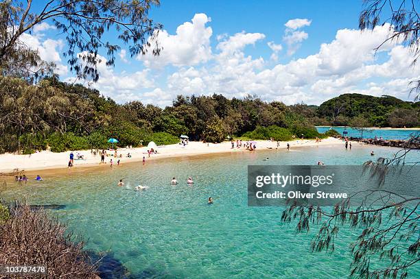 beachgoers at sheltered torakina beach. - brunswick heads nsw stock pictures, royalty-free photos & images