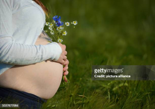 Pregnant woman in the 8th month is pictured with flowers in her hands in a cornfield near Sieversdord, Germany, 22 May 2014. Photo: Patrick Pleul/dpa...