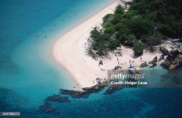 aerial of beach on whitsunday island. - whitsunday island stock-fotos und bilder