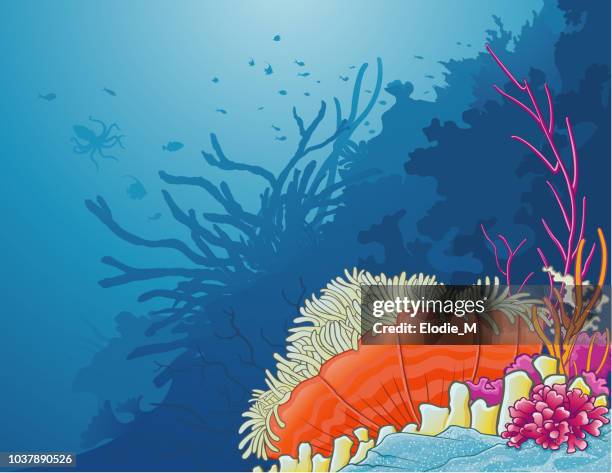 bildbanksillustrationer, clip art samt tecknat material och ikoner med havsanemon / anémone de mer - blue anemone