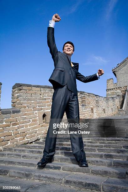 happy businessman on the great wall - human limb stock pictures, royalty-free photos & images