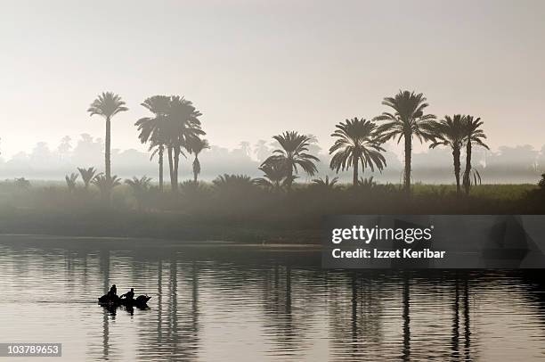 nile river. - rio nilo imagens e fotografias de stock