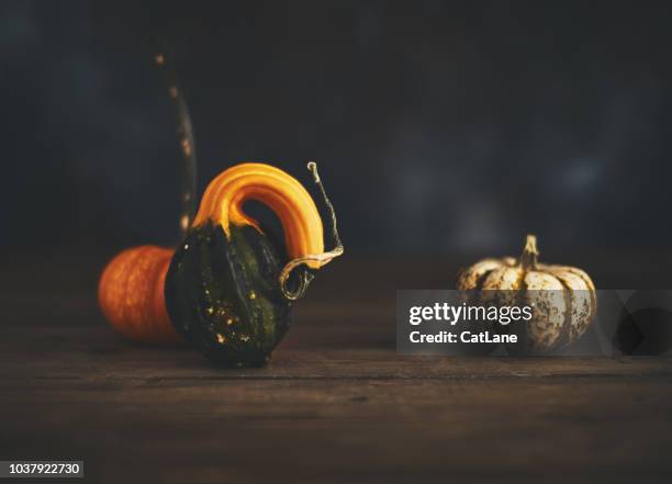 artistic still life fall background with rustic wood and pumpkins - gourd stock pictures, royalty-free photos & images
