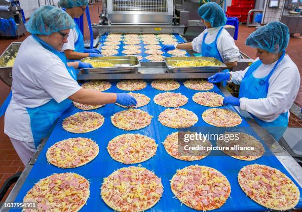 Pizza Process Factory 177 Pizza Production Line Stock Photos, High-Res Pictures, and Images ...