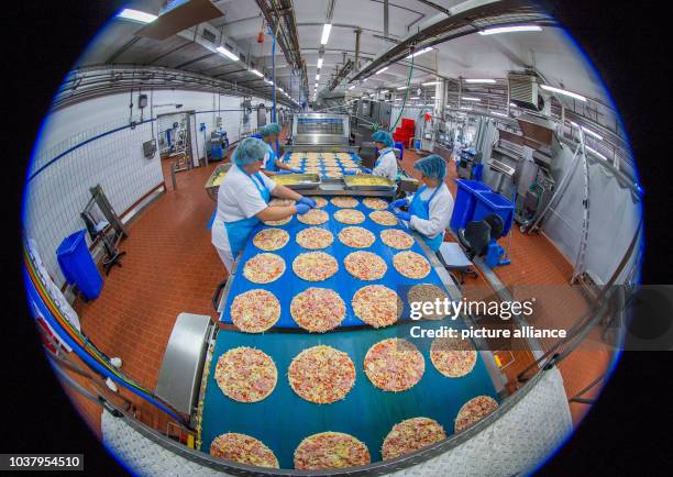 Pizza Process Factory 175 Pizza Production Line Stock Photos, High-Res Pictures, and Images ...