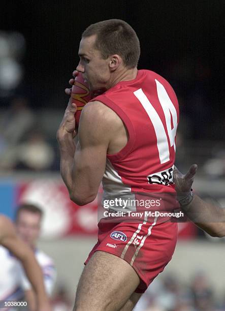 Jason Norrish 68 Paul X Kelly Stock Photos, High-Res Pictures, and Images - Getty Images