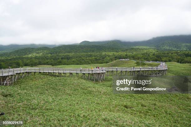 tourist enjoying views of a lake (five shiretoko lakes), the sea of okhotsk and the surrounding mountains from the wooden elevated boardwalk at shiretoko national park - shiretoko stock pictures, royalty-free photos & images