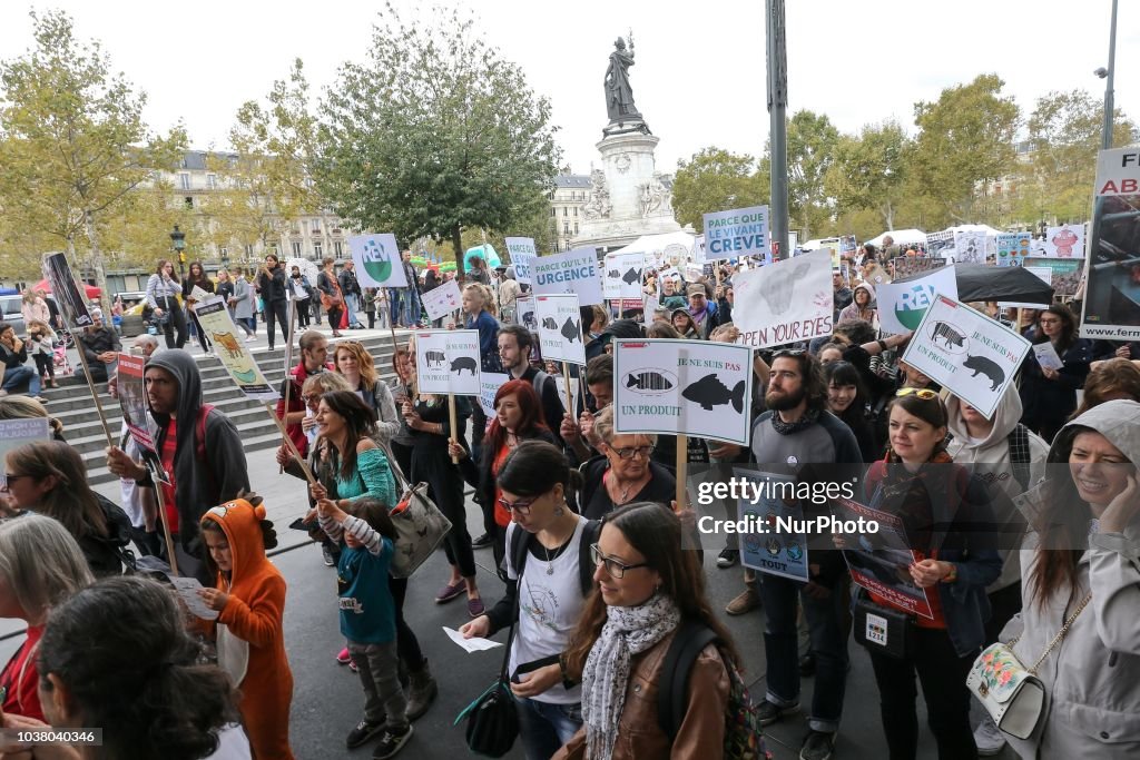 Vegetarian Activists Protest In Paris