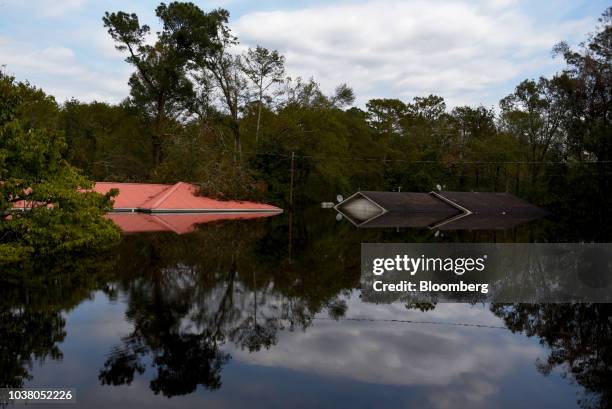 Houses sit submerged in floodwater after Hurricane Florence hit in Bergaw, North Carolina, U.S., on Friday, Sept. 21, 2018. President Donald Trump...