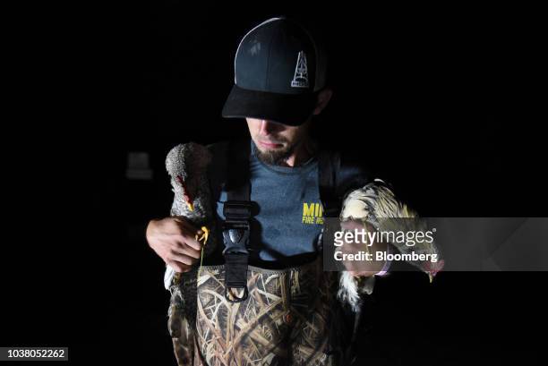 Member of a volunteer search and rescue team rescues a pair of chickens stranded in floodwater after Hurricane Florence hit in Bergaw, North...