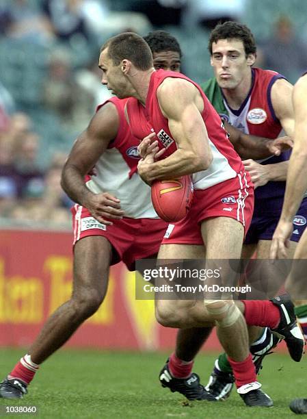 Jason Norrish 68 Paul X Kelly Stock Photos, High-Res Pictures, and Images - Getty Images