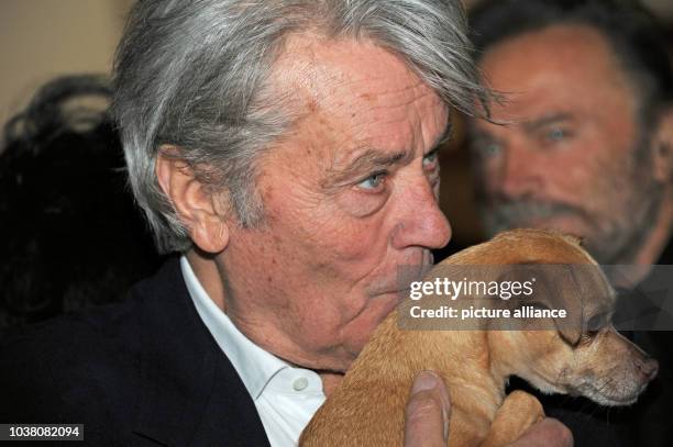 Actor Alain Delon posing with Molly the dog at a traditional Christmas display at the Gut Aiderbichl animal sanctuary in Henndorf near...