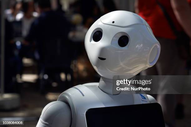 Portrait of a SoftBank robot. A robots race took place in Toulouse. Machines are either cars or walking robots. They were supposed to run a 110...