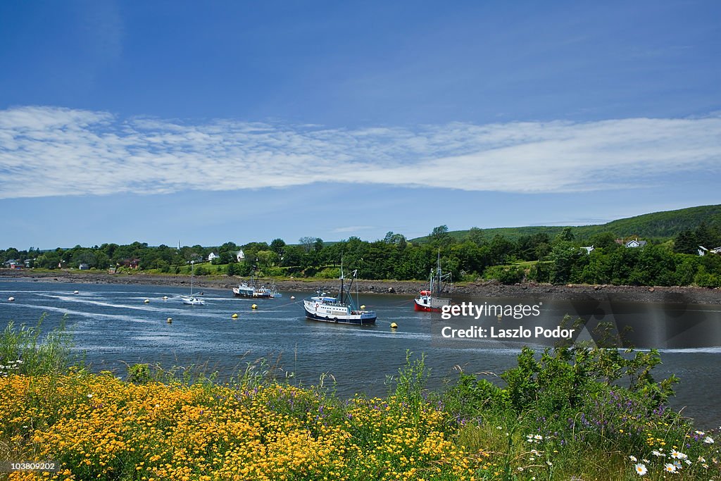 Fishing boats anchored on Annapolis River