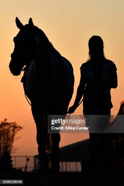 Groom warms up a horse prior to the start of the FEI World Equestrian Games on September 22, 2018 at the Tryon International Equestrian Center in...