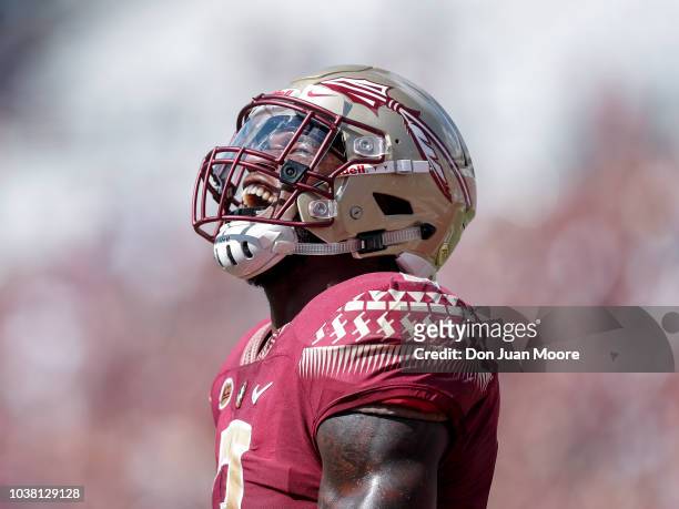 Runningback Cam Akers of the Florida State Seminoles celebrates after running in for a score during the game against the Northern Illinois Huskies at...