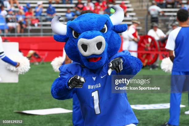 Buffalo Bulls Mascot during the College Football game between the Rutgers Scarlet Knights and the Buffalo Bulls on September 22, 2018 at...