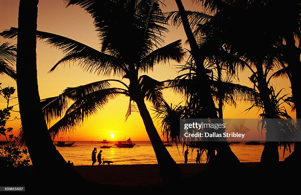 Silhouetted people and palms, White Beach.