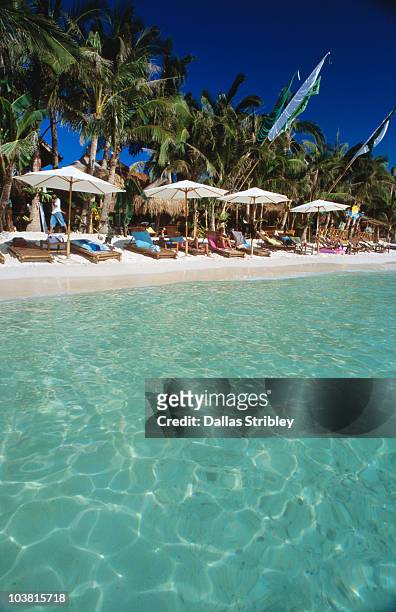 umbrella, sunbeds and palm trees, diniwid beach. - boracay beach stock pictures, royalty-free photos & images