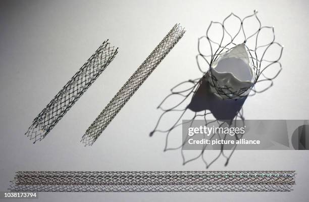 September 2018, Mecklenburg-Western Pomerania, Rostock: Stents and a heart valve are located in the test laboratory of the Institute for Implant...