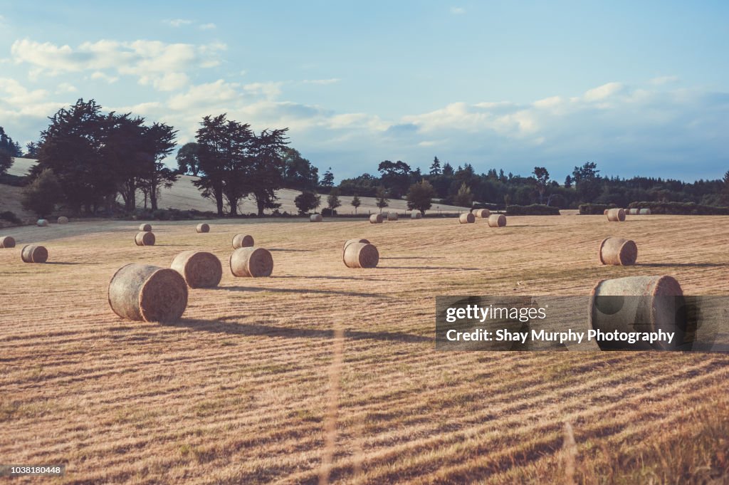 Bails of straw