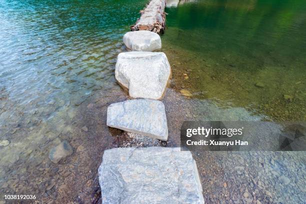 full frame shot of stepping stones - stepping stone top view stock pictures, royalty-free photos & images