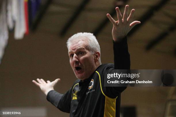 Sydney Kings Head Coach Andrew Gaze shows his emotion during the 2018 NBL Blitz match between Sydney Kings and Brisbane Bullets at Ballarat...