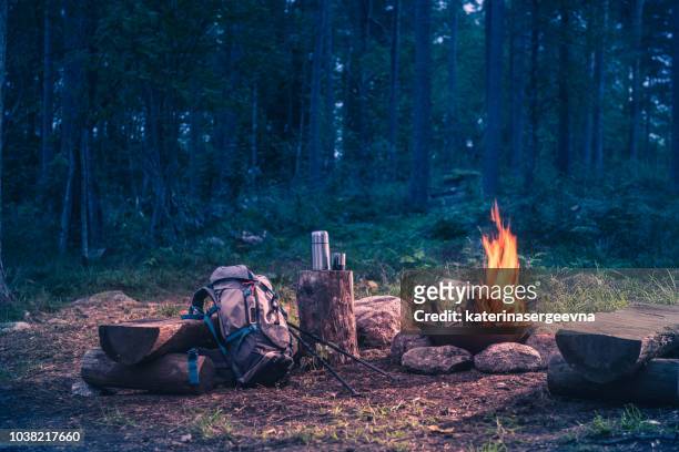 holiday destination in a forest trip by the fire - camping equipment stock pictures, royalty-free photos & images